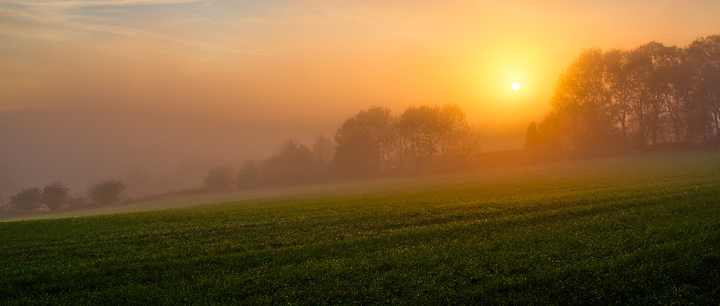 First light breaking over a misty field at dawn, the sun low and warm above a soft treeline.